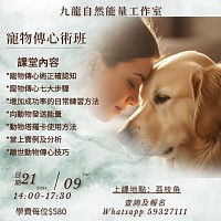 Pet230323