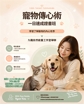 Pet230323
